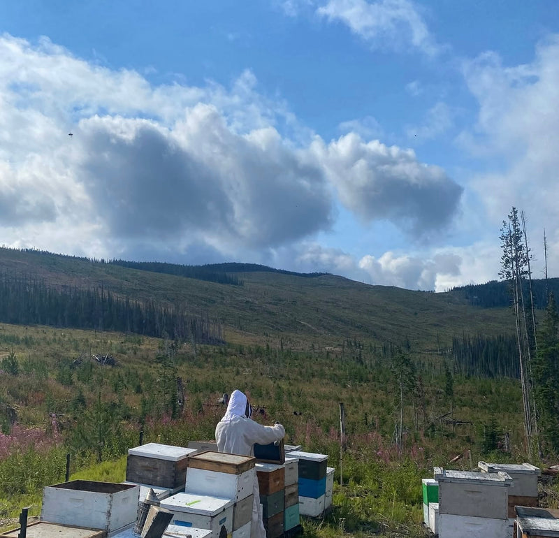 Fireweed Honey